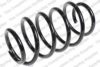 LESJ?FORS 4062072 Coil Spring